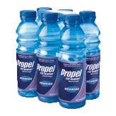 Propel The Workout Water grape flavored vitamin enchanced fitness water, 6-pack 1/2 liter bottles Right Picture